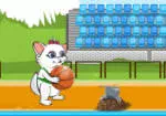 Basket-ball au Stade'