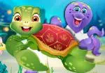 Sköldpadda vård
