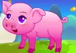 Hayvan domuz bakımı