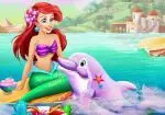 Ariel umyć delfina