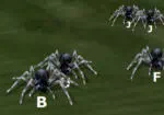 Tarantuloid Maschinenschreiben Terror