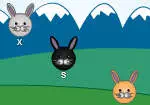 Mecanografia dels Conills de Pasqua