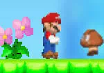 Những cuộc phiêu lưu của Mario 2