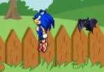 Sonic in de tuin