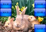 Famiglia di Conigli Puzzle di Addizioni