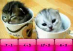 Baby Katzen Subtraktion Rätsel