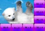 Lední Medvěd Dělení Puzzle