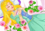 الأميرة النوم