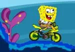 SpongeBob pengendara sepeda motor di atas air