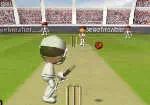 פלאש Cricket 2