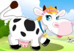Mặc quần áo lên con bò trong trang trại